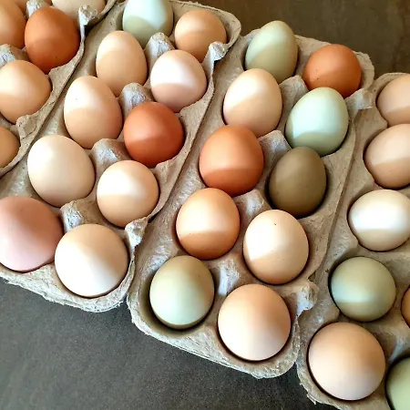 Фермерский дом Unterbiberghof