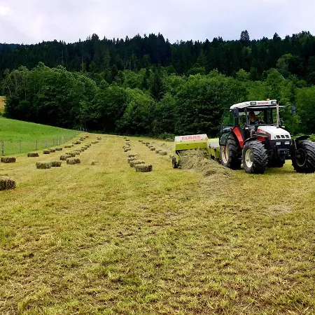 Alloggio per agriturismo Unterbiberghof