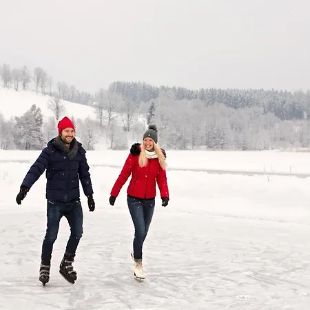 Unterbiberghof Фермерский дом Зальфельден