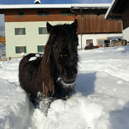 Unterbiberghof Saalfelden